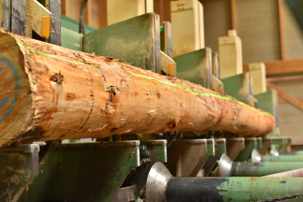 Über Frank Holz Schwörstadt